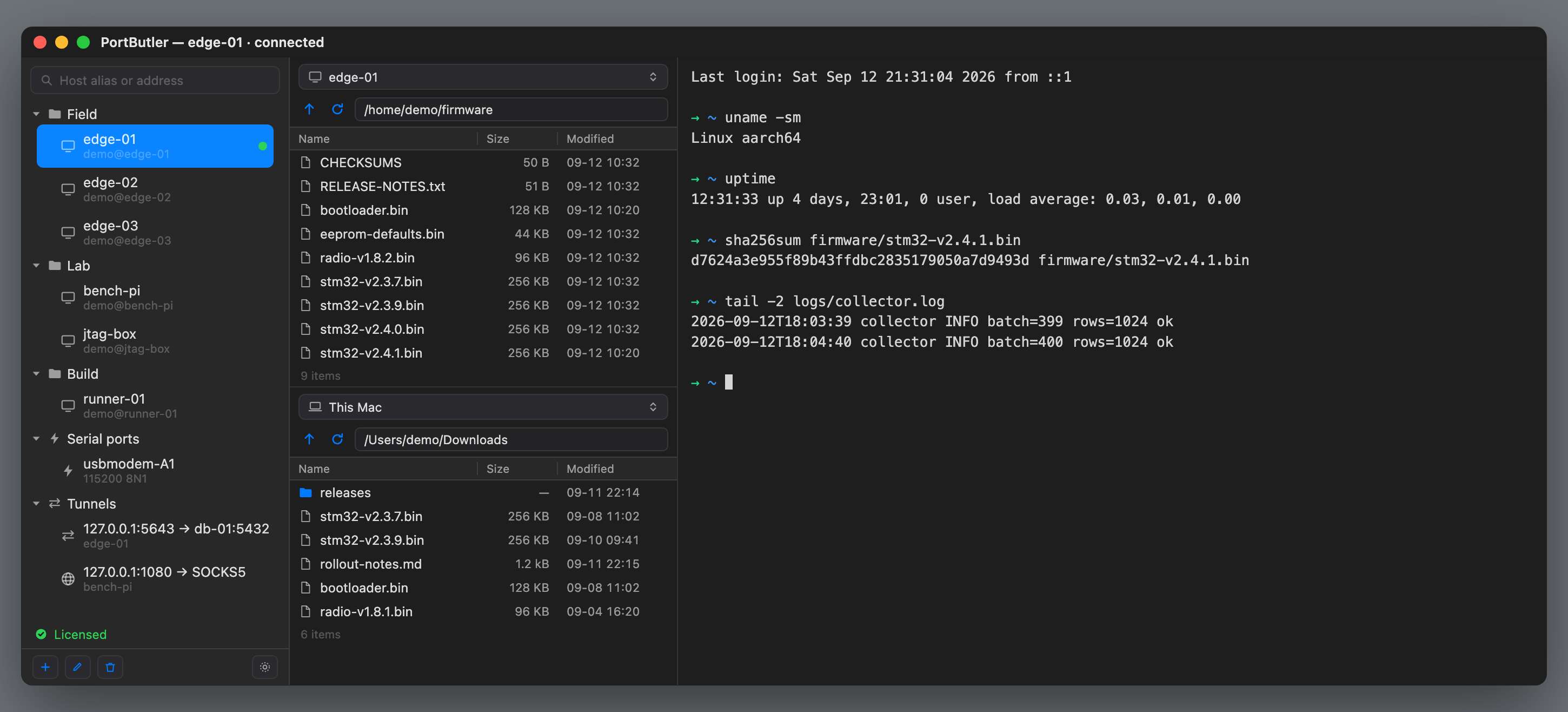 Sessions, two file panes and a terminal in one PortButler window